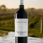 Erario NEGROAMARO IGP