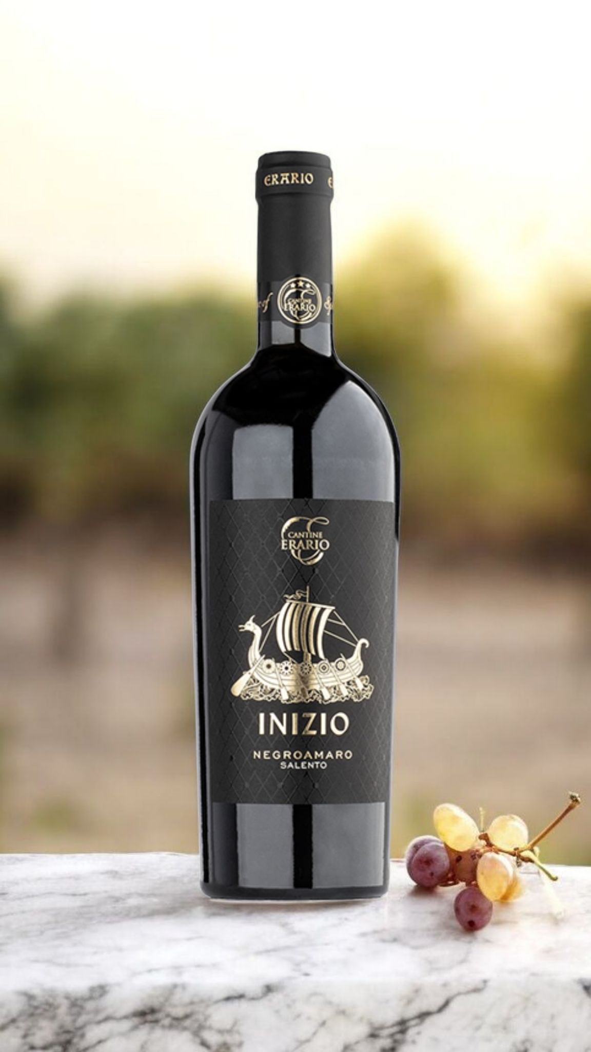 Screenshot_20251123_134009_Chrome Erario Inizio Negroamaro igp - immagine 1