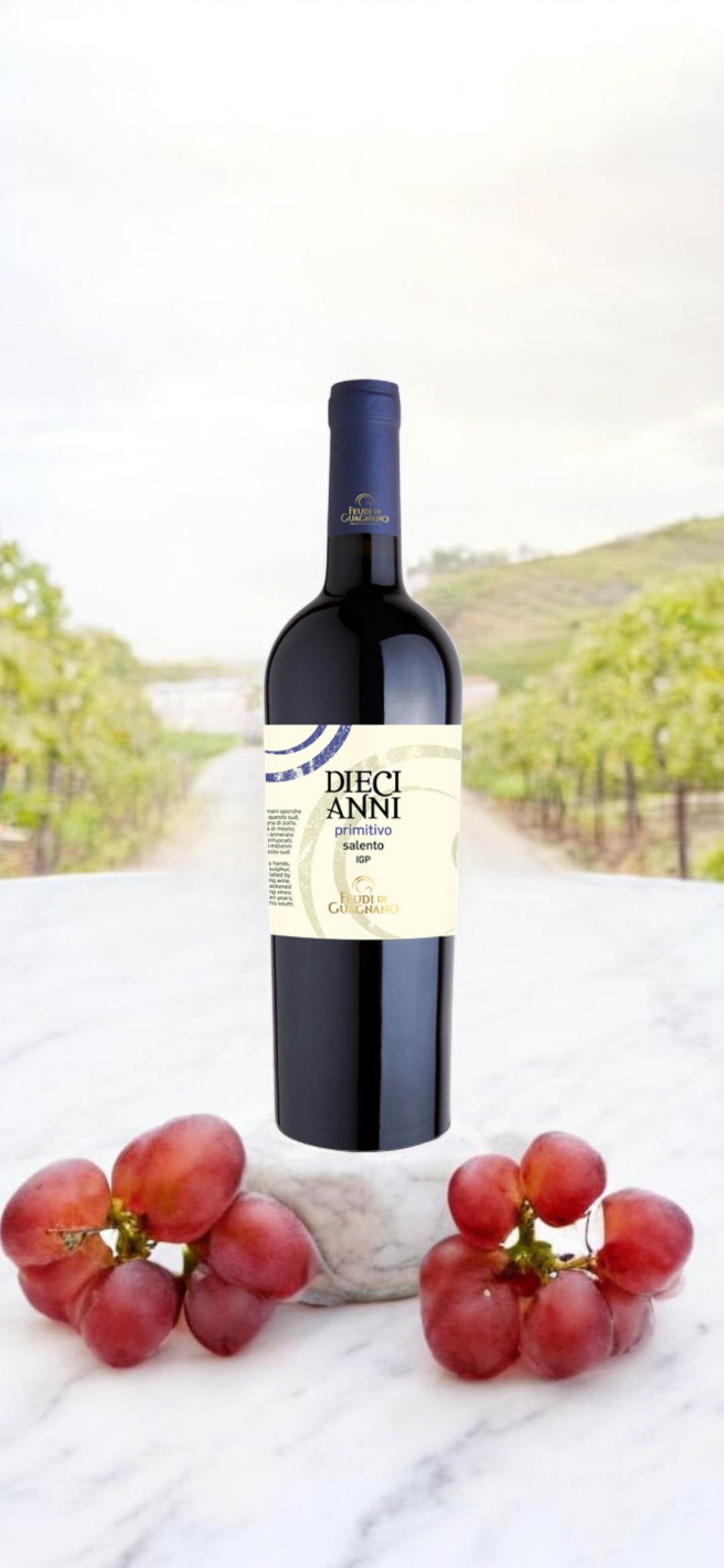 Screenshot_20251123_161040_Chrome Feudi di Guagnano DIECI ANNI PRIMITIVO IGP - immagine 1