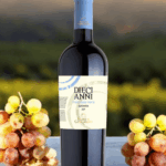 Feudi di Guagnano DIECI ANNI Malvasia Nera IGP