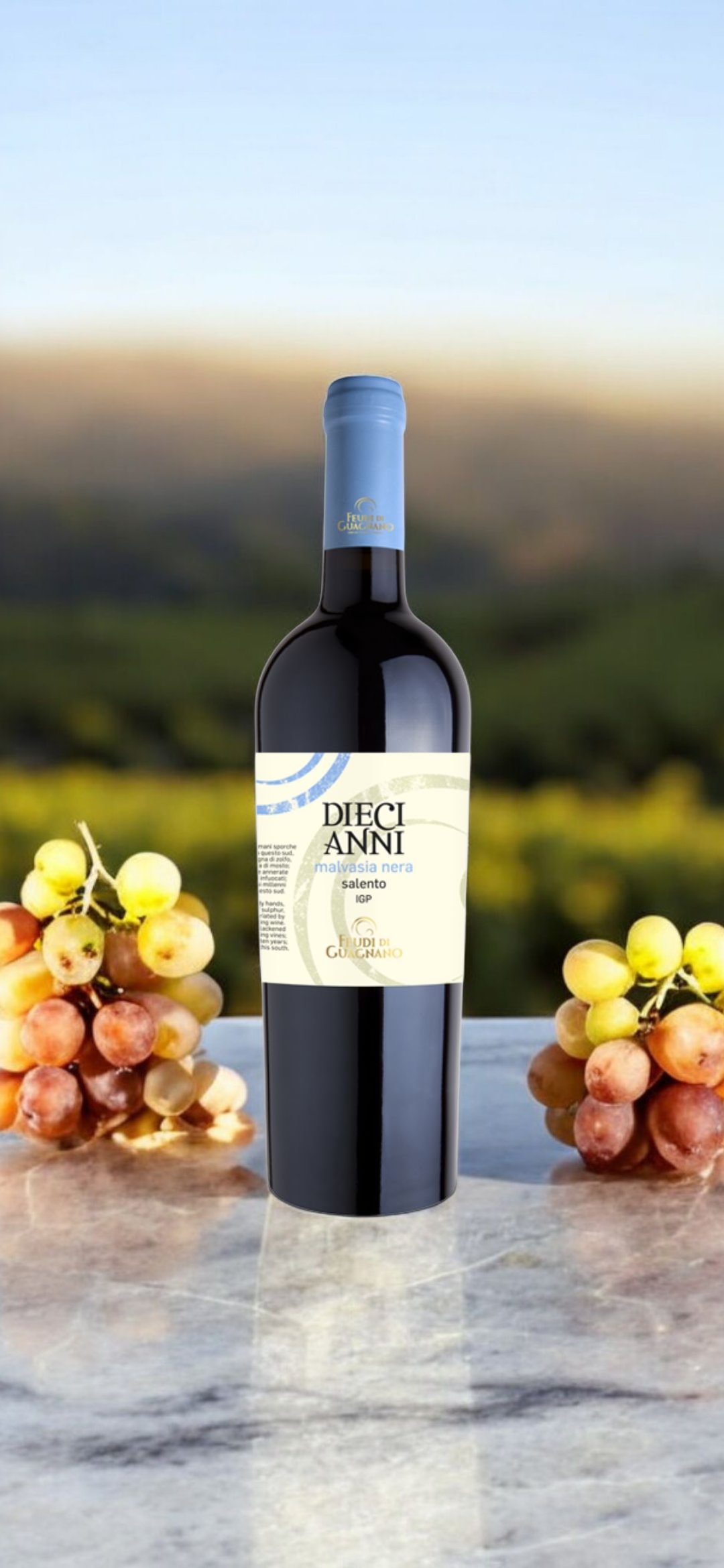 Screenshot_20251123_161051_Chrome Feudi di Guagnano DIECI ANNI Malvasia Nera IGP - immagine 1