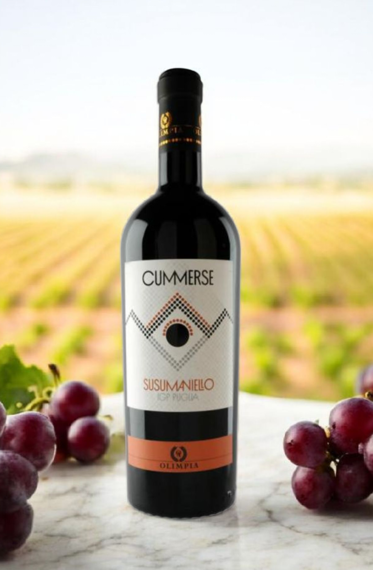 Screenshot_20251124_152219_Chrome OLIMPIA CUMMERSE SUSSUMANIELLO IGP - immagine 1