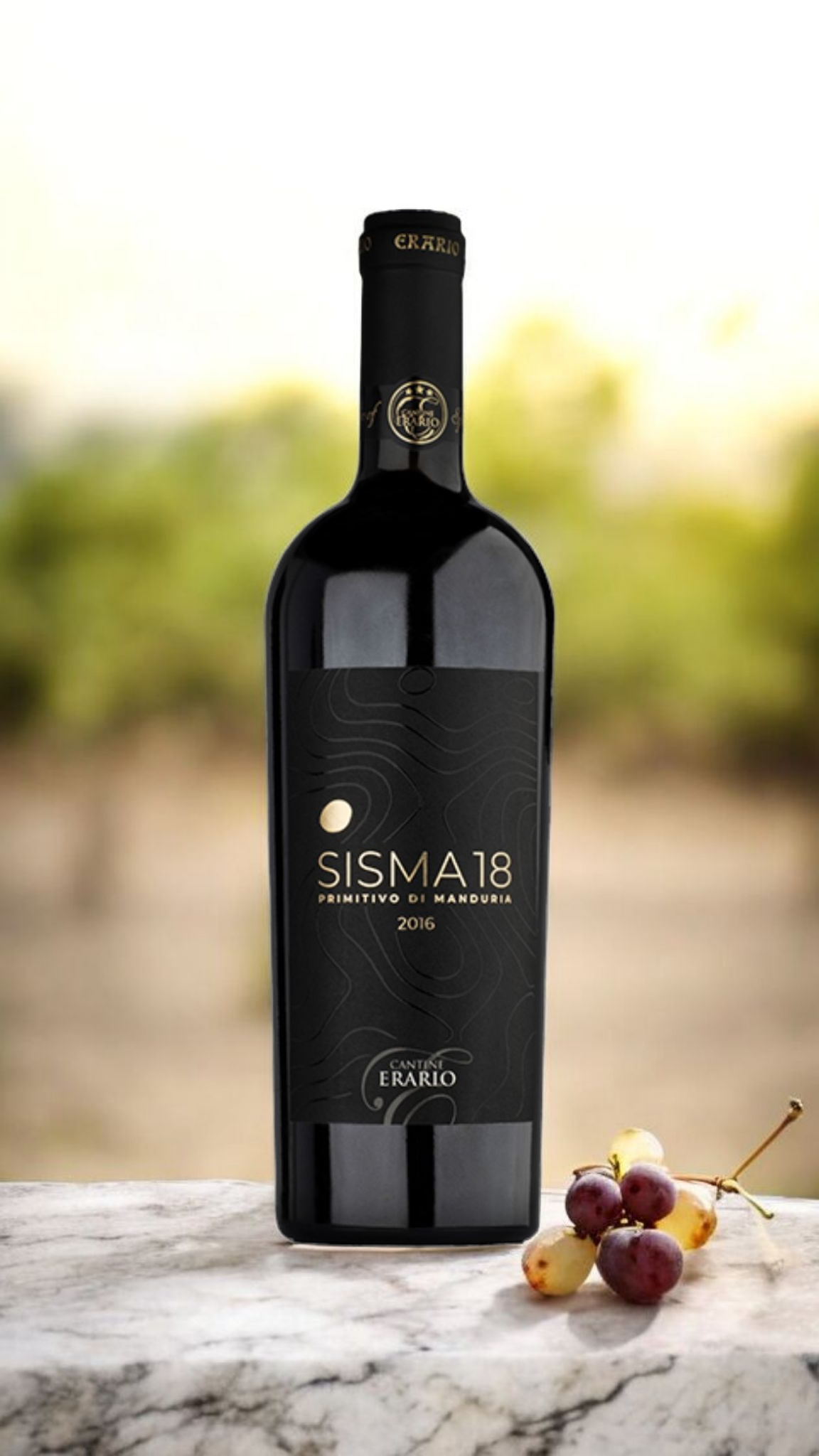 Screenshot_20251123_134115_Chrome Erario 18 Sisma Primitivo di Manduria dop - immagine 1