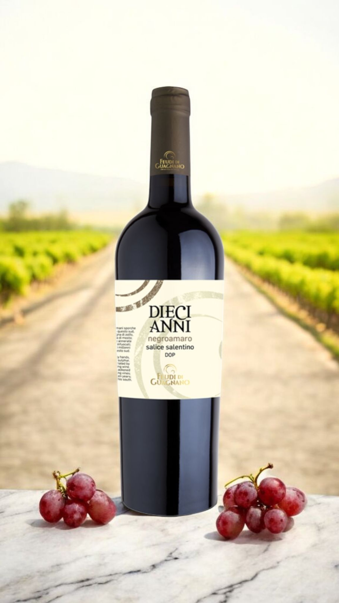 Screenshot_20251123_161025_Chrome Feudi di Guagnano DIECI ANNI Salice Salentino dop - immagine 1