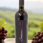 TAURO SUSUMANIELLO IGT