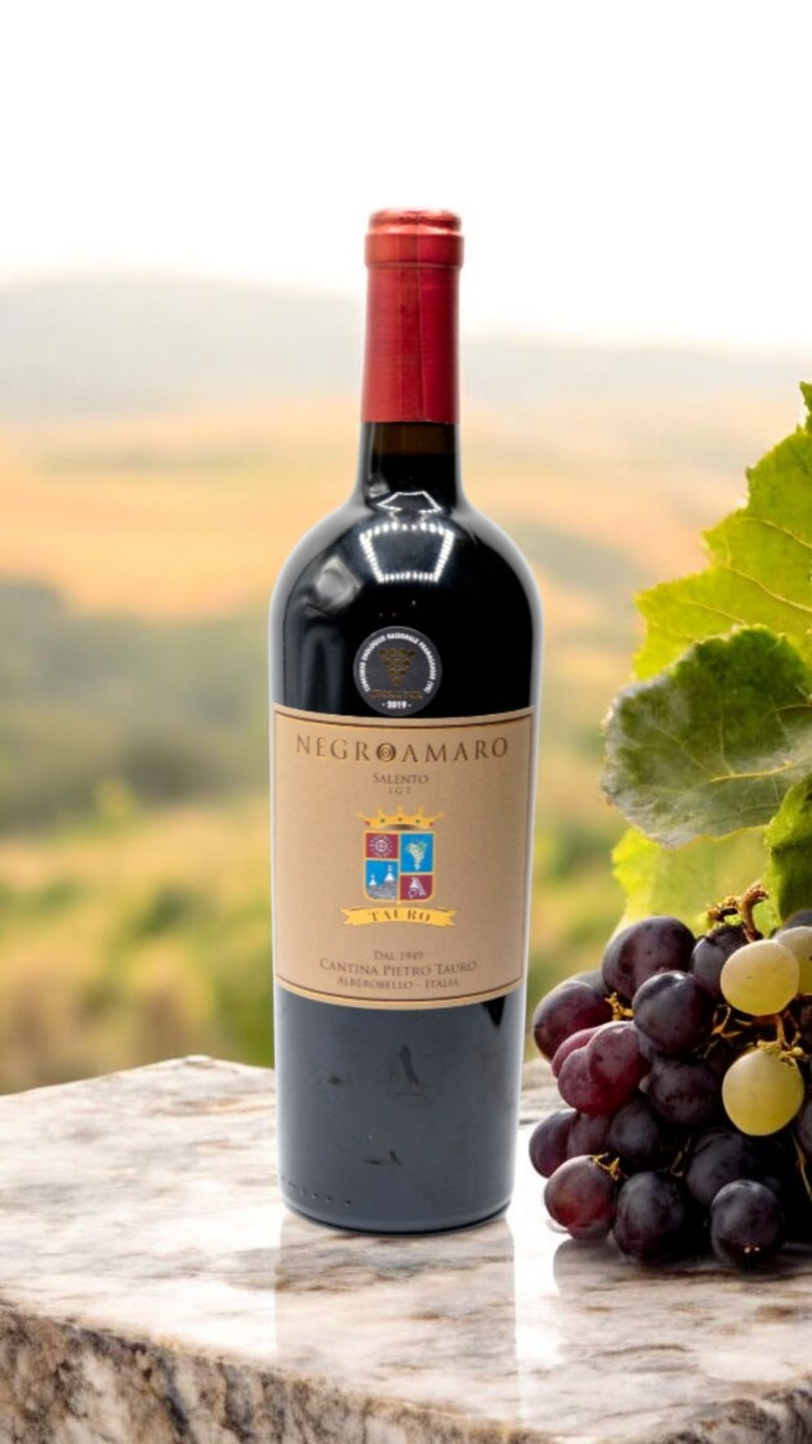 Screenshot_20251123_205731_Chrome Tauro NEGRAMARO IGT - immagine 1