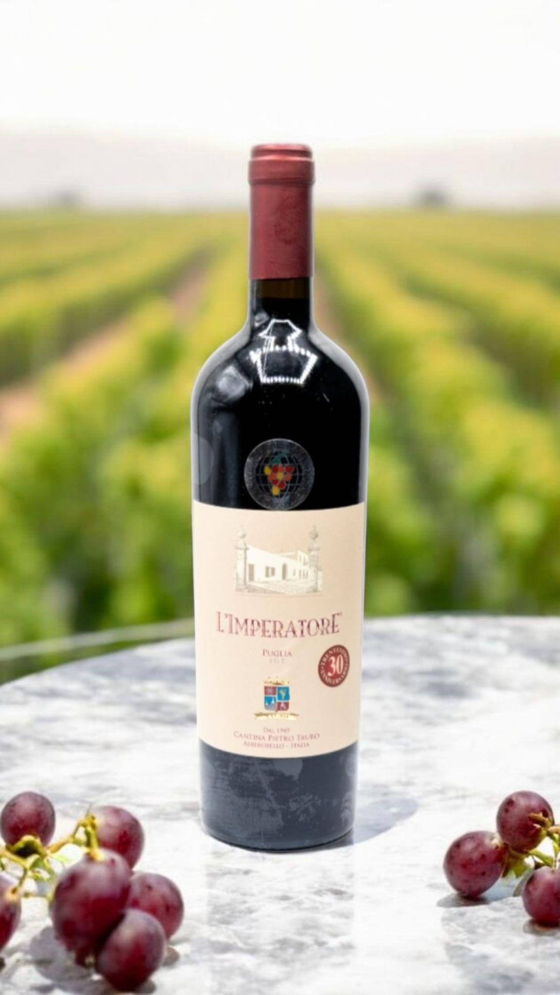 Screenshot_20251123_205746_Chrome Tauro IMPERATORE IGT 30 Anni - immagine 1