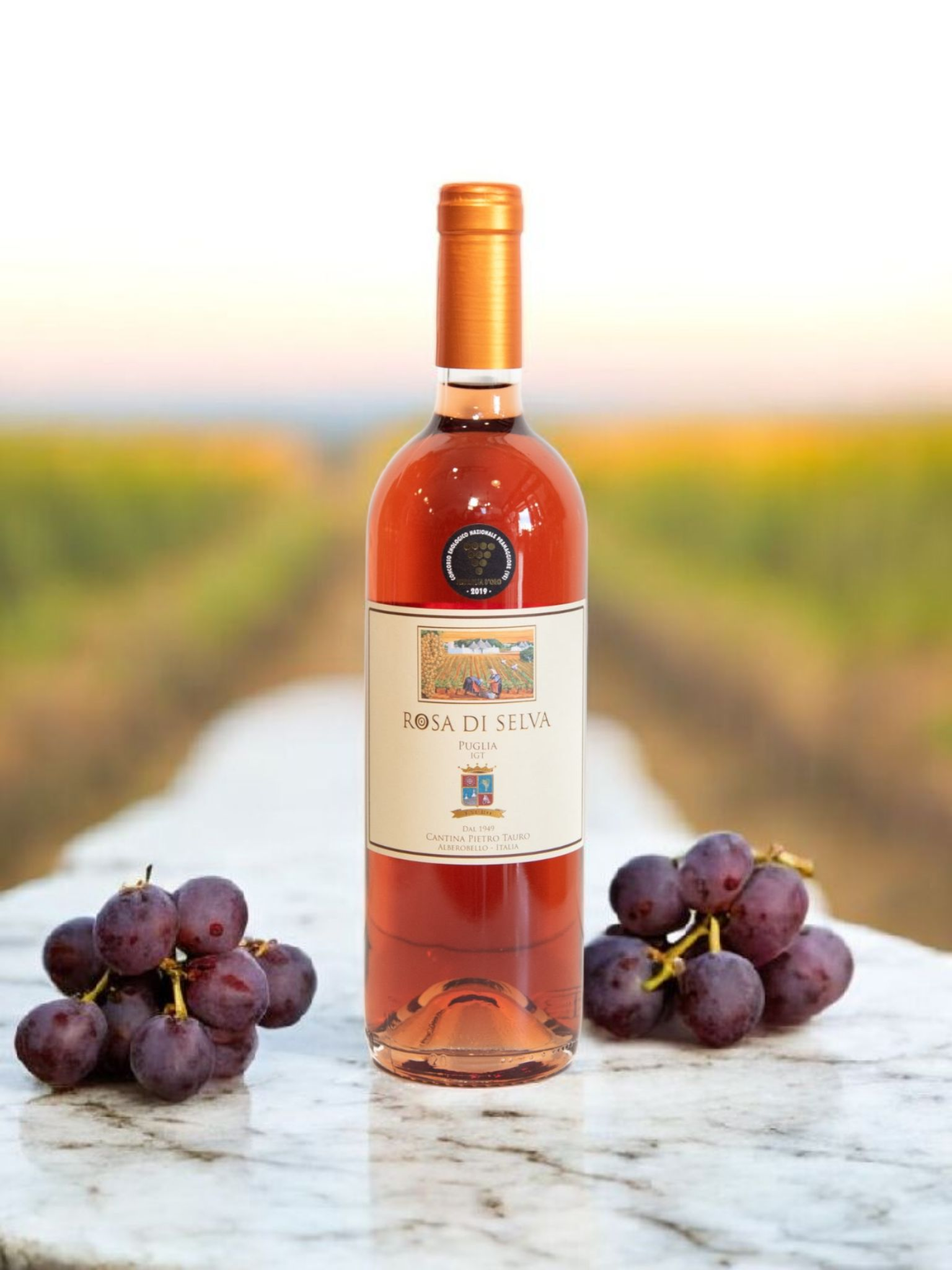 Screenshot_20251125_162230_Chrome Tauro ROSA DI SELVA IGT - immagine 1