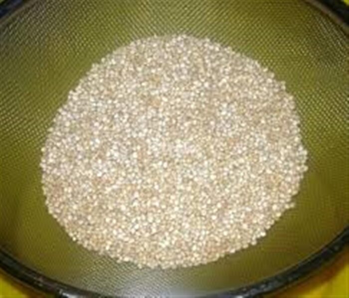 Semi di Quinoa - immagine 6