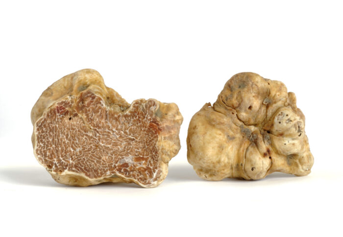 Crema di Porcini e Tartufi Bianchi - immagine 2