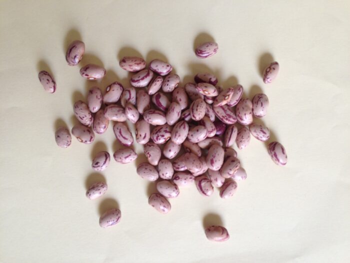 Fagioli Borlotti - immagine 2