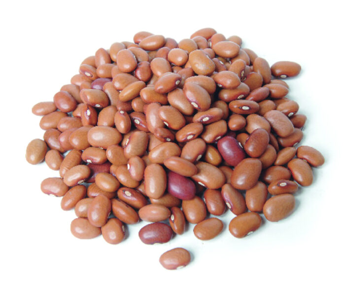 Fagioli Bruni - immagine 2