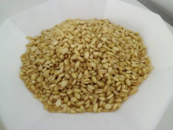 Grano - immagine 2