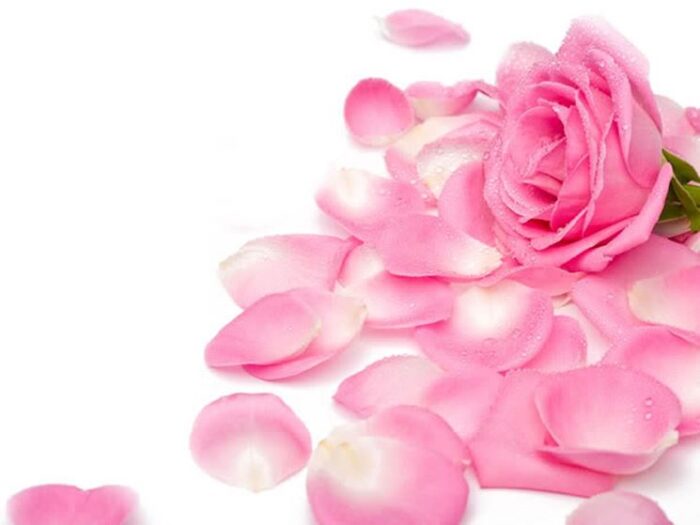 Rosolio alla Rosa - immagine 2