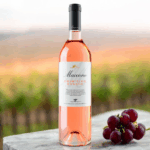 MACCONE PRIMITIVO MACCONE IGP