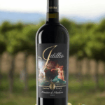 Erario IDILLIO Primitivo di Manduria DOCG